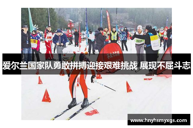 爱尔兰国家队勇敢拼搏迎接艰难挑战 展现不屈斗志