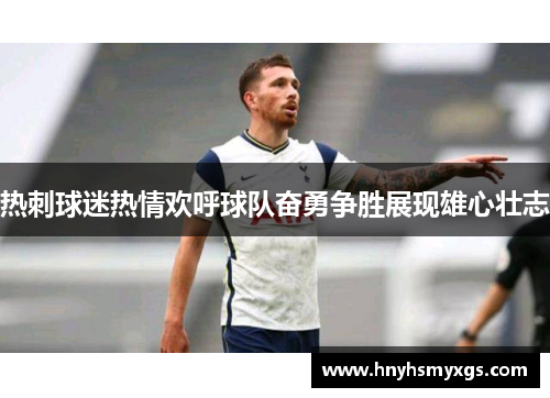 热刺球迷热情欢呼球队奋勇争胜展现雄心壮志