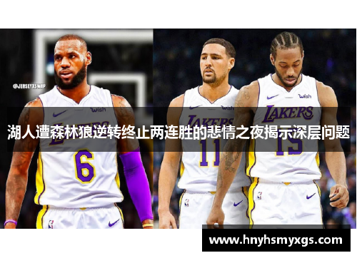 湖人遭森林狼逆转终止两连胜的悲情之夜揭示深层问题