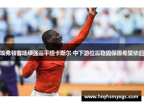 埃弗顿客场顽强逼平纽卡斯尔 中下游位置稳固保级希望依旧