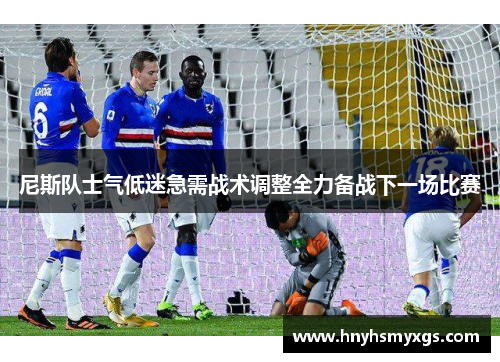 尼斯队士气低迷急需战术调整全力备战下一场比赛