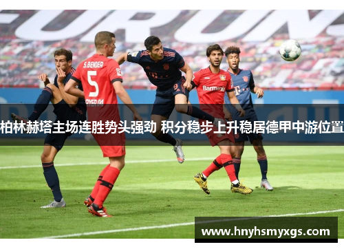 柏林赫塔主场连胜势头强劲 积分稳步上升稳居德甲中游位置