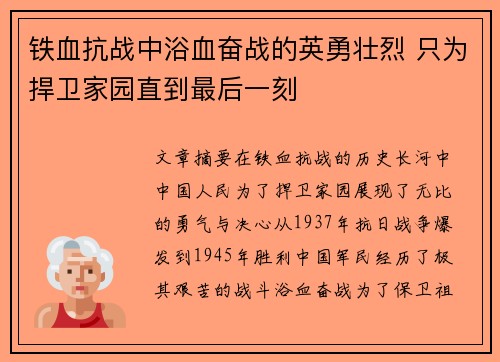 铁血抗战中浴血奋战的英勇壮烈 只为捍卫家园直到最后一刻